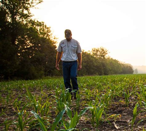 Maximizing Profit: Expert Tips for Selling Farm Land in Today's Market