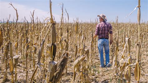 Maximizing Profit: Expert Tips for Selling Farm Land in Today's Market